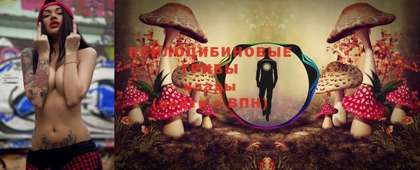 первитин Алексин