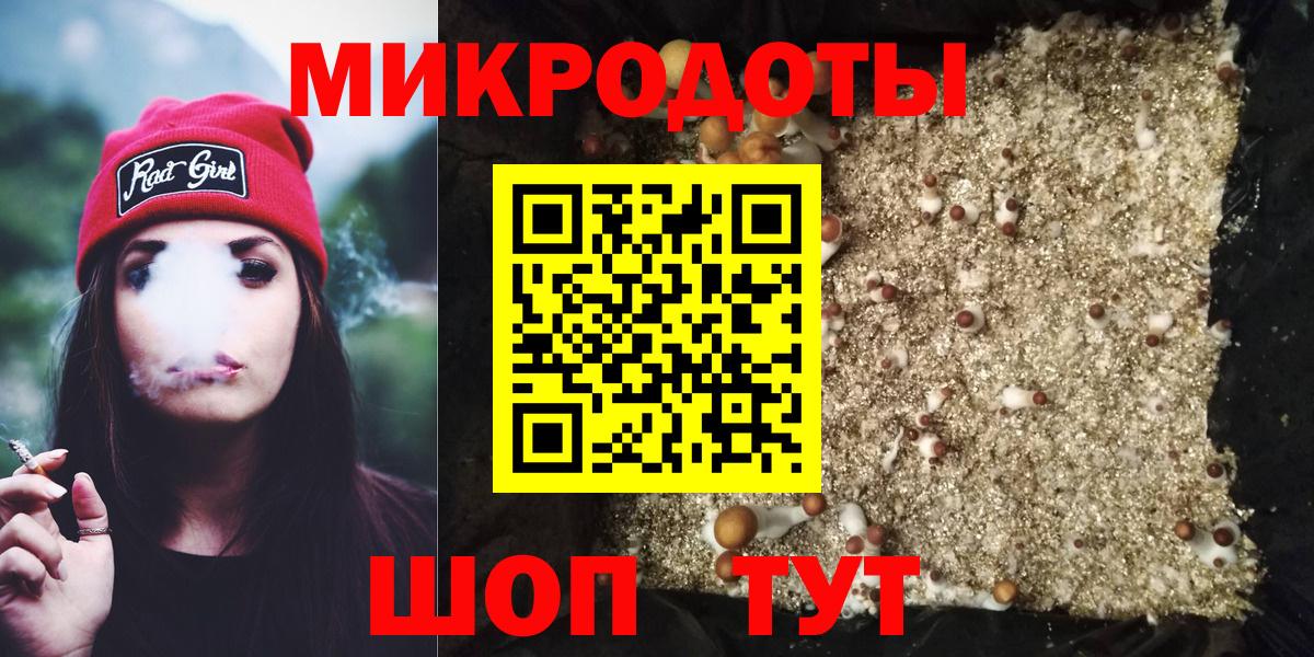 Галлюциногенные грибы Psilocybe Лесосибирск