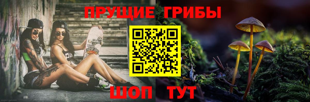 Псилоцибиновые грибы прущие грибы  Вход с VPN  Лесосибирск  Псилоцибиновые грибы прущие грибы 